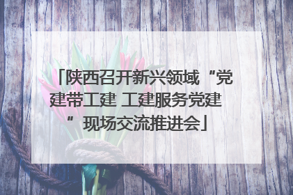 陕西召开新兴领域“党建带工建 工建服务党建”现场交流推进会