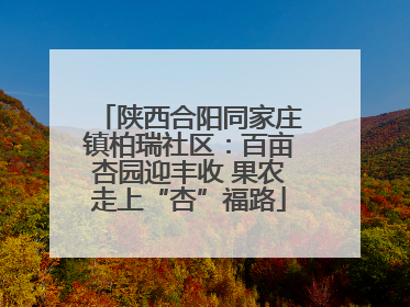 陕西合阳同家庄镇柏瑞社区：百亩杏园迎丰收 果农走上“杏”福路