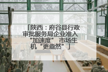 陕西：府谷县行政审批服务局企业准入“加速度” 市场生机“更盎然”