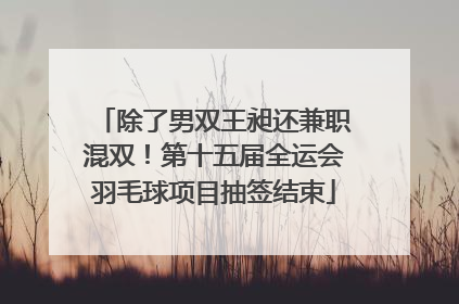 除了男双王昶还兼职混双！第十五届全运会羽毛球项目抽签结束