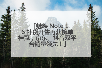 魅族 Note 16 补货开售再获榜单桂冠，京东、抖音双平台销量领先！