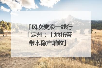 风吹麦浪一线行丨定州：土地托管带来稳产增收