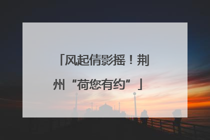 风起倩影摇！荆州“荷您有约”