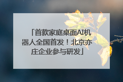首款家庭桌面AI机器人全国首发！北京亦庄企业参与研发