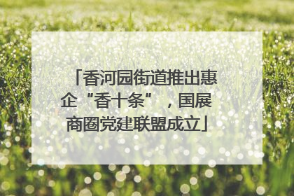 香河园街道推出惠企“香十条”，国展商圈党建联盟成立