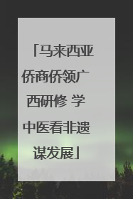 马来西亚侨商侨领广西研修 学中医看非遗谋发展