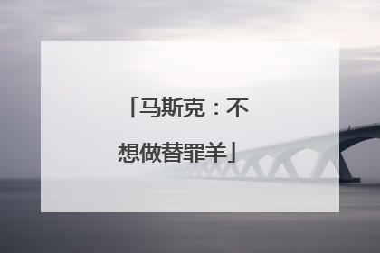 马斯克：不想做替罪羊