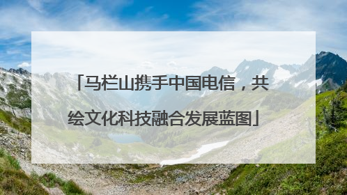 马栏山携手中国电信，共绘文化科技融合发展蓝图