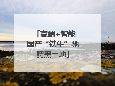 高端+智能 国产“铁牛”驰骋黑土地