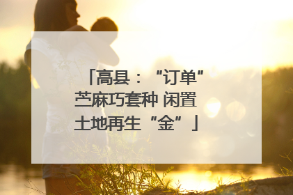 高县：“订单”苎麻巧套种 闲置土地再生“金”