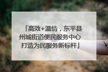 高效+温情，东平县州城街道便民服务中心打造为民服务新标杆