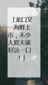 龙口又一海鲜上市，不少人夏天就好这一口！