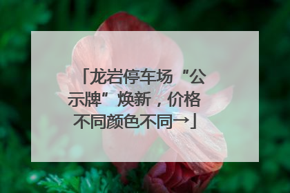 龙岩停车场“公示牌”焕新，价格不同颜色不同→
