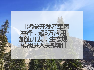鸿蒙开发者军团冲锋：超3万应用加速开发，生态规模战进入关键期