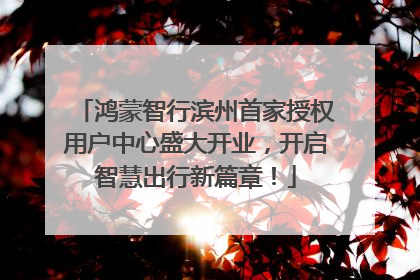 鸿蒙智行滨州首家授权用户中心盛大开业，开启智慧出行新篇章！