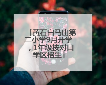 黄石白马山第二小学9月开学，1年级按对口学区招生