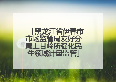 黑龙江省伊春市市场监管局友好分局上甘岭所强化民生领域计量监管