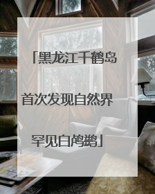 黑龙江千鹤岛首次发现自然界罕见白鸬鹚