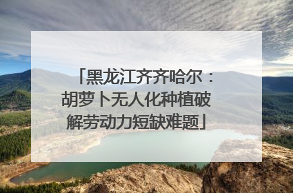黑龙江齐齐哈尔：胡萝卜无人化种植破解劳动力短缺难题