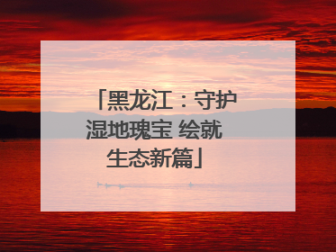 黑龙江：守护湿地瑰宝 绘就生态新篇