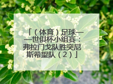 （体育）足球——世俱杯小组赛：弗拉门戈队胜突尼斯希望队（2）