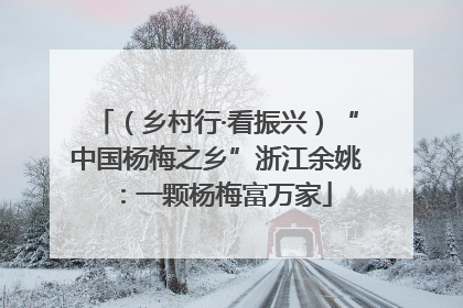 （乡村行·看振兴）“中国杨梅之乡”浙江余姚：一颗杨梅富万家