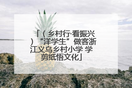 （乡村行·看振兴）“洋学生”做客浙江义乌乡村小学 学剪纸悟文化