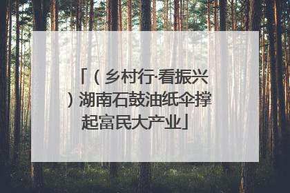 （乡村行·看振兴）湖南石鼓油纸伞撑起富民大产业