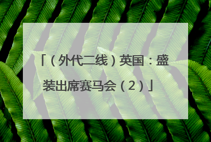 （外代二线）英国：盛装出席赛马会（2）