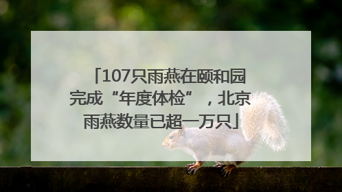 107只雨燕在颐和园完成“年度体检”，北京雨燕数量已超一万只