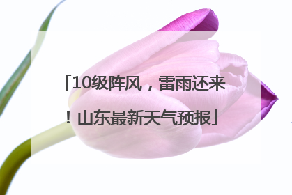 10级阵风，雷雨还来！山东最新天气预报