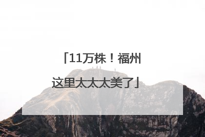 11万株！福州这里太太太美了