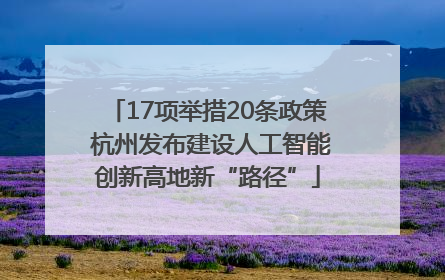 17项举措20条政策 杭州发布建设人工智能创新高地新“路径”