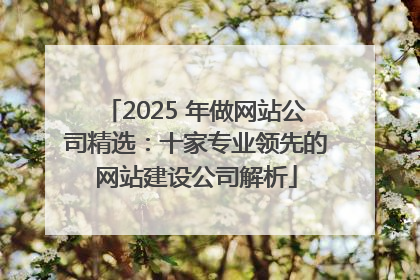 2025 年做网站公司精选：十家专业领先的网站建设公司解析