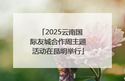 2025云南国际友城合作周主题活动在昆明举行