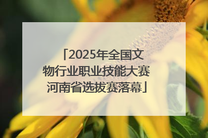 2025年全国文物行业职业技能大赛河南省选拔赛落幕