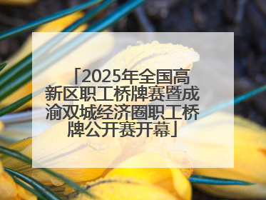 2025年全国高新区职工桥牌赛暨成渝双城经济圈职工桥牌公开赛开幕