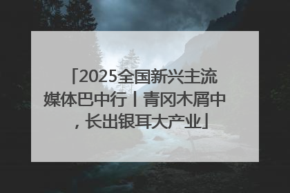 2025全国新兴主流媒体巴中行丨青冈木屑中，长出银耳大产业