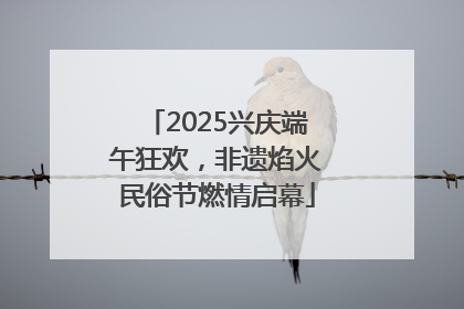 2025兴庆端午狂欢，非遗焰火民俗节燃情启幕