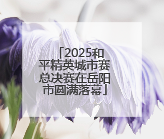 2025和平精英城市赛总决赛在岳阳市圆满落幕