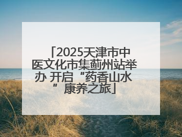 2025天津市中医文化市集蓟州站举办 开启“药香山水”康养之旅