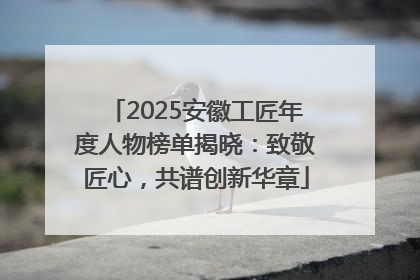 2025安徽工匠年度人物榜单揭晓:致敬匠心,共谱创新华章