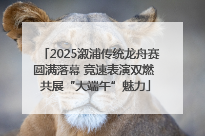 2025溆浦传统龙舟赛圆满落幕 竞速表演双燃 共展“大端午”魅力