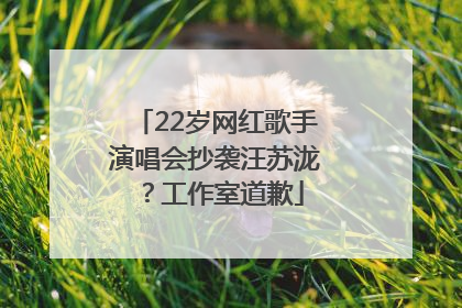 22岁网红歌手演唱会抄袭汪苏泷？工作室道歉