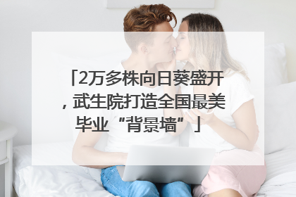2万多株向日葵盛开，武生院打造全国最美毕业“背景墙”