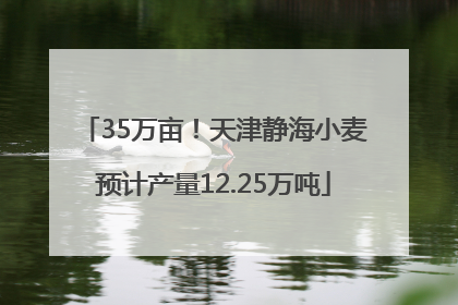 35万亩！天津静海小麦预计产量12.25万吨
