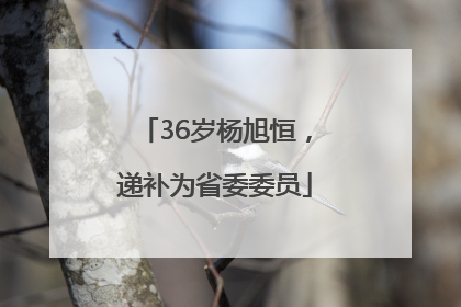 36岁杨旭恒，递补为省委委员