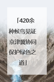 420余种候鸟见证京津冀协同保护绿色之道
