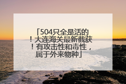 504只全是活的！大连海关最新截获！有攻击性和毒性，属于外来物种