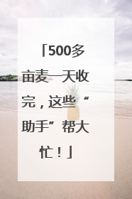 500多亩麦一天收完，这些“助手”帮大忙！